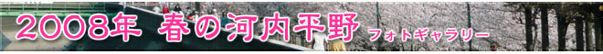 2008年の桜