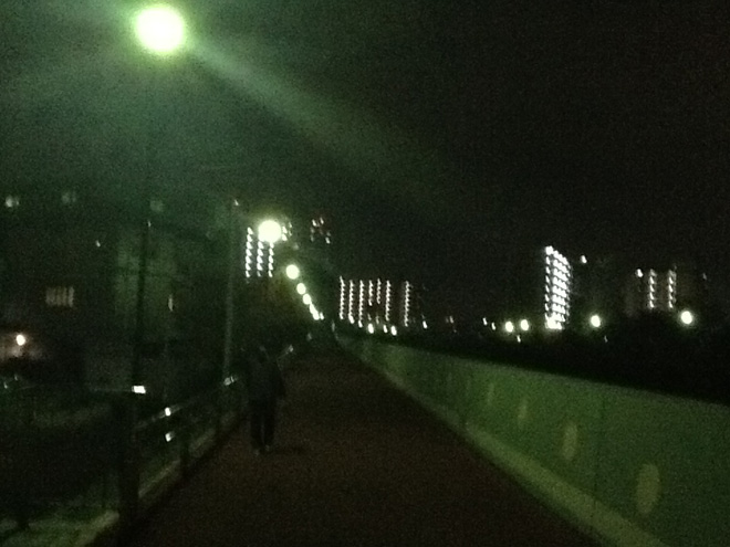 第二寝屋川沿いの遊歩道（東大阪市）