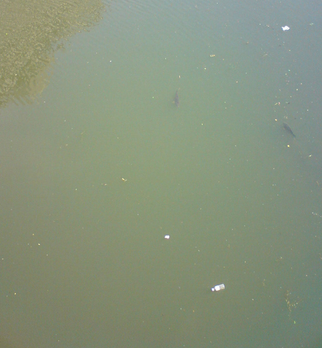 第二寝屋川（東大阪市）