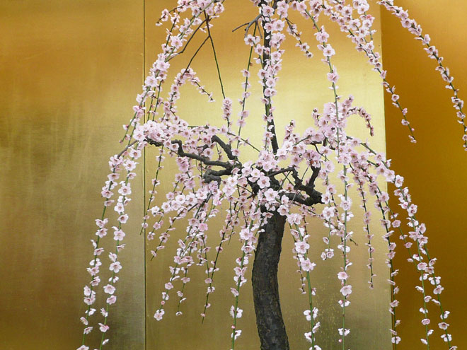 東大阪市の2008年の桜