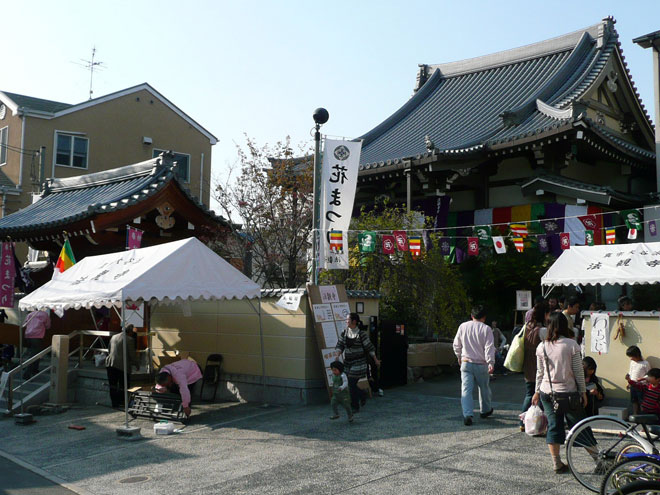 東大阪市の2008年の桜